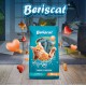 BERISCAT